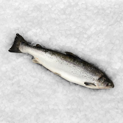 Asda Whole Salmon