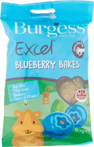 Burgess ... image