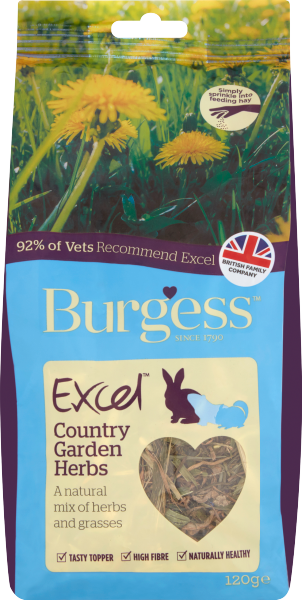 Burgess ... image
