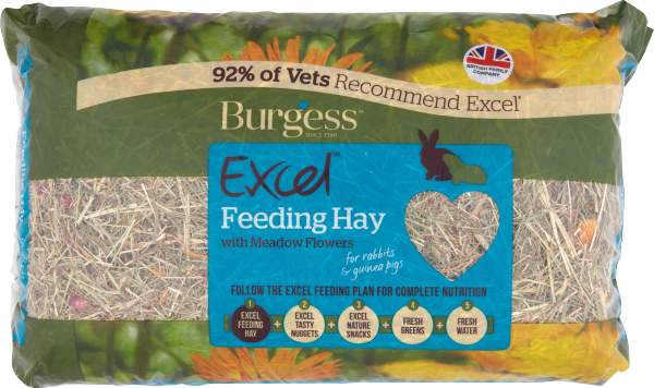 Burgess ... image