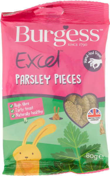 Burgess ... image