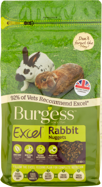 Burgess ... image