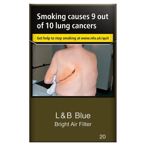 L&B Blue Bright Air Filter 20s