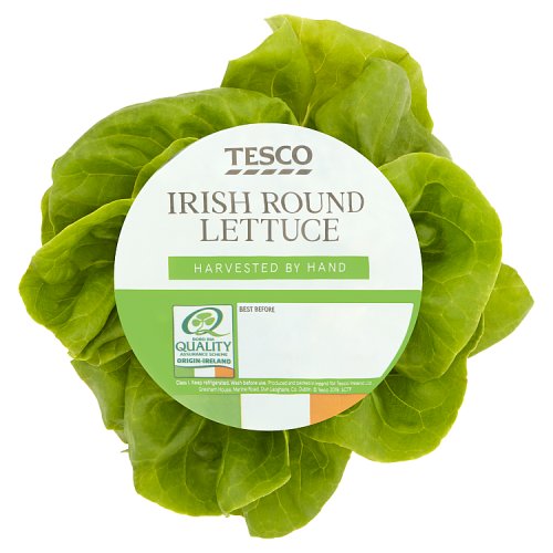 Tesco Irish Round Lettuce Really Good Culture