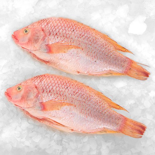 Tesco Whole Red Tilapia 500g